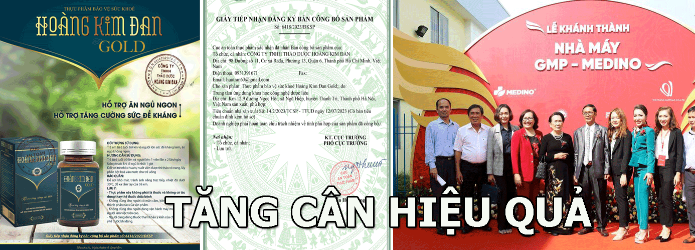 thuốc tăng cân hoàng kim đan